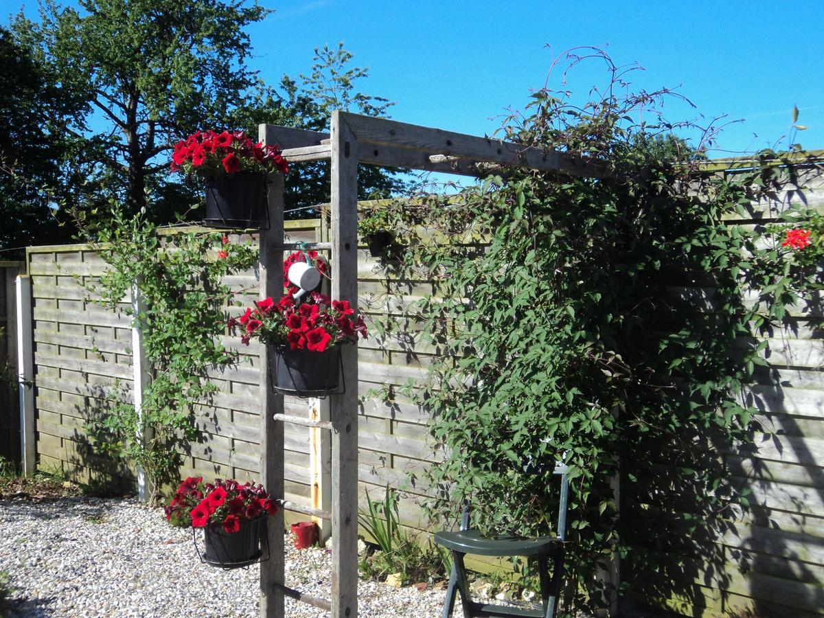 La Demeure Bed & Breakfast Vassonville Dış mekan fotoğraf
